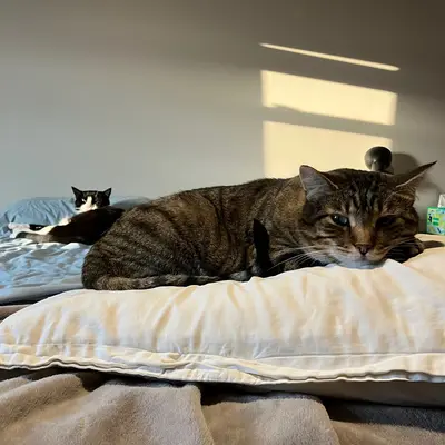 Xena & Midna